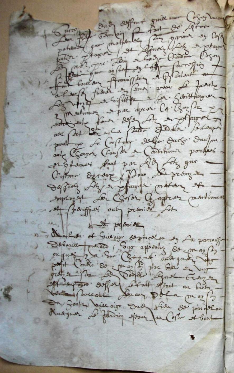 Cohon-G_1615 (2).JPG